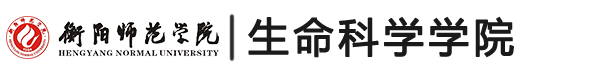 德赢AC米兰中国官方网站